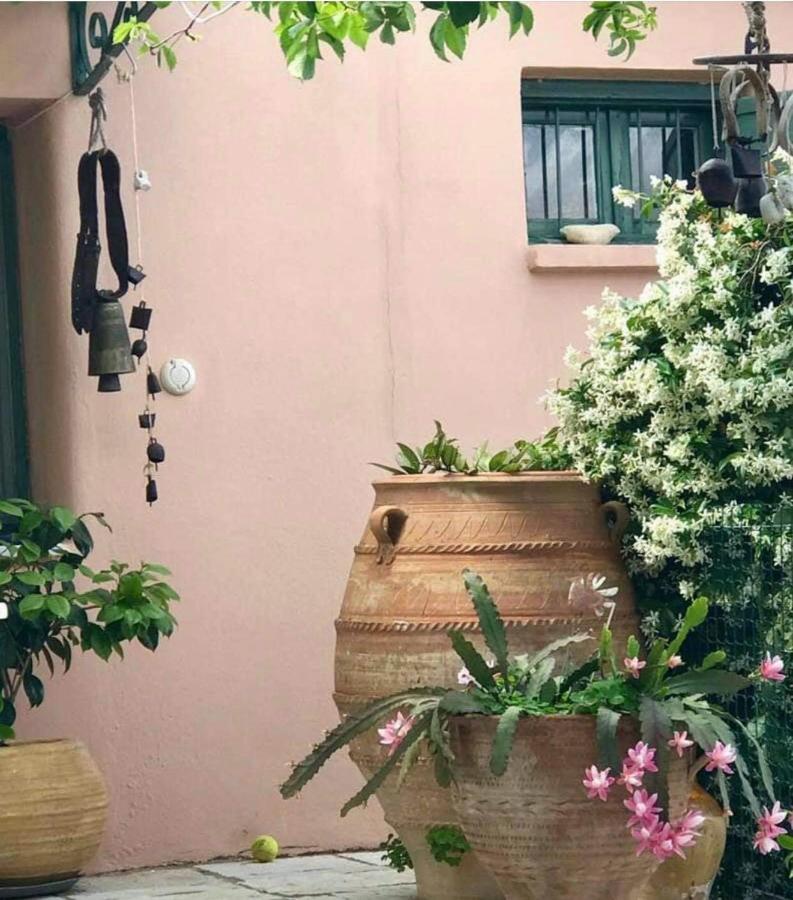 Manona'S Suite فيسكاردو المظهر الخارجي الصورة